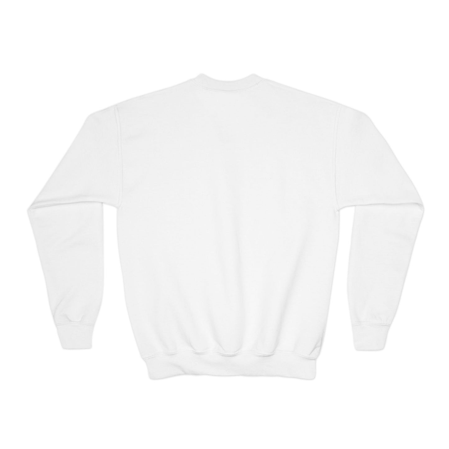 Juice Wrld Youth Sweatshirt