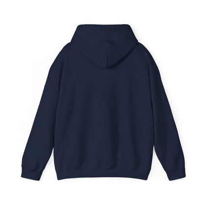 SONY TV Logo Adult Hoodie