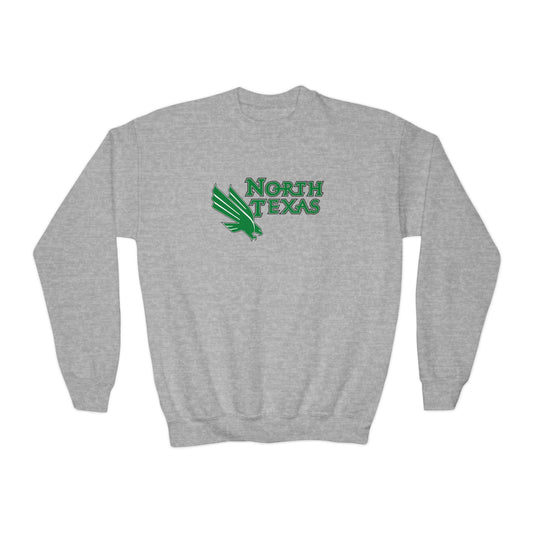 North Texas Youth Sweatshirt